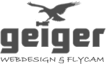 logo geiger